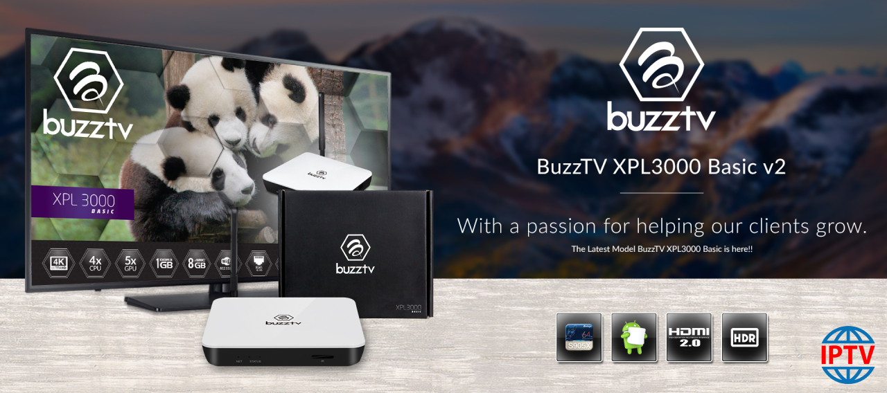 How to setup IPTV on BuzzTV XPL3000 box?